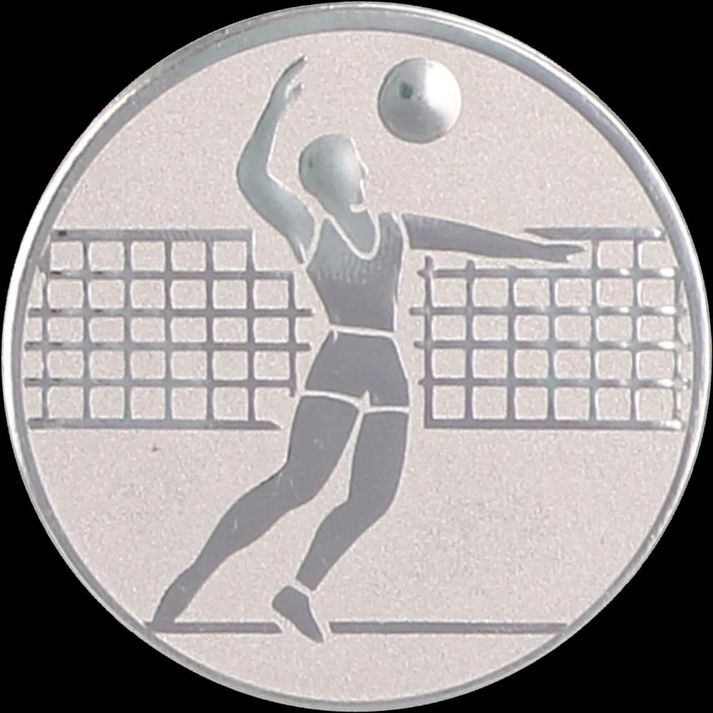 Aluminijski umetak srebrni - odbojka - muškarci