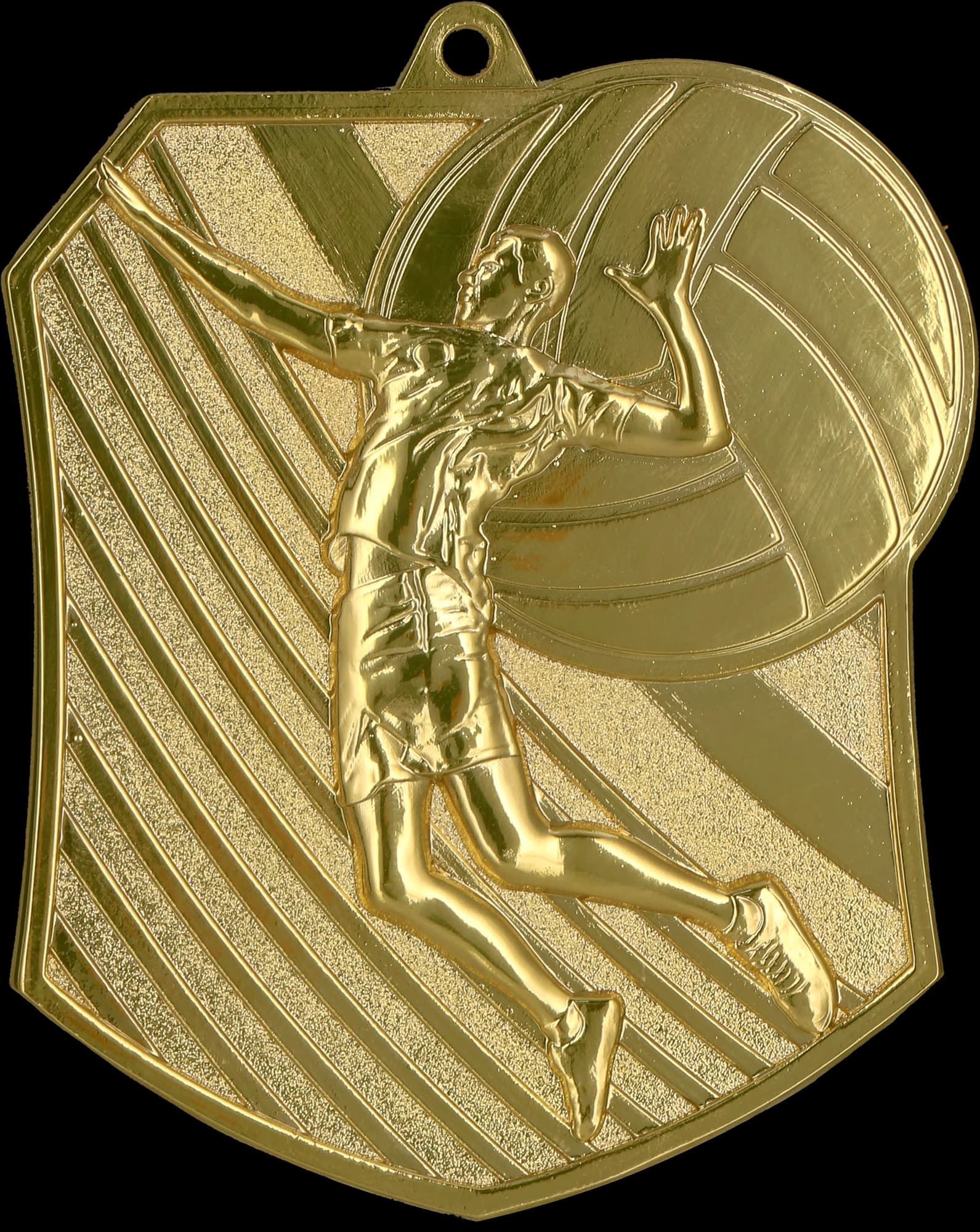 Lijevana medalja zlatna – odbojka