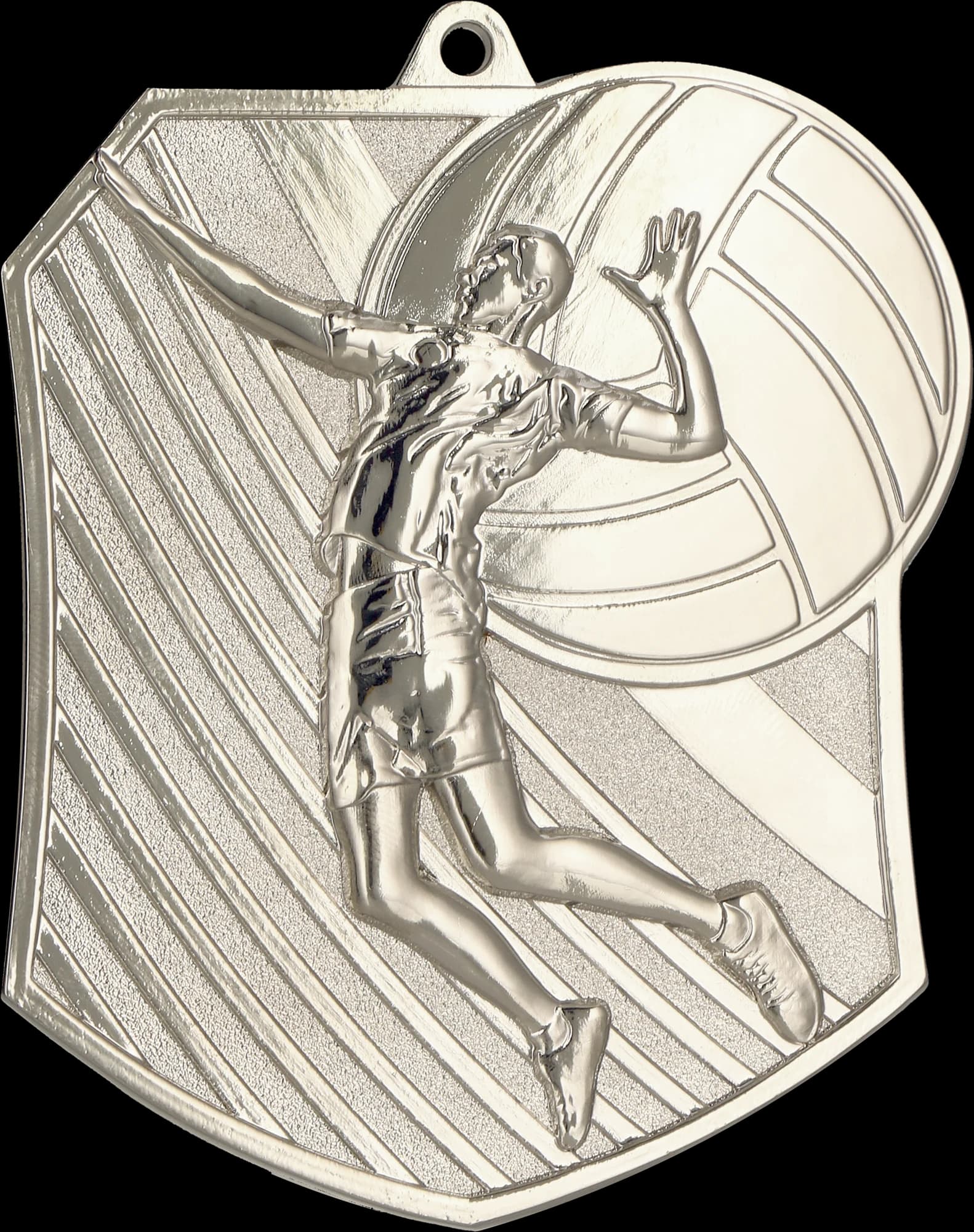 Cast medal silver – volleyball