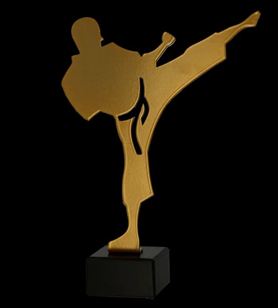 Metal trophy with marble base - Karate - karateka