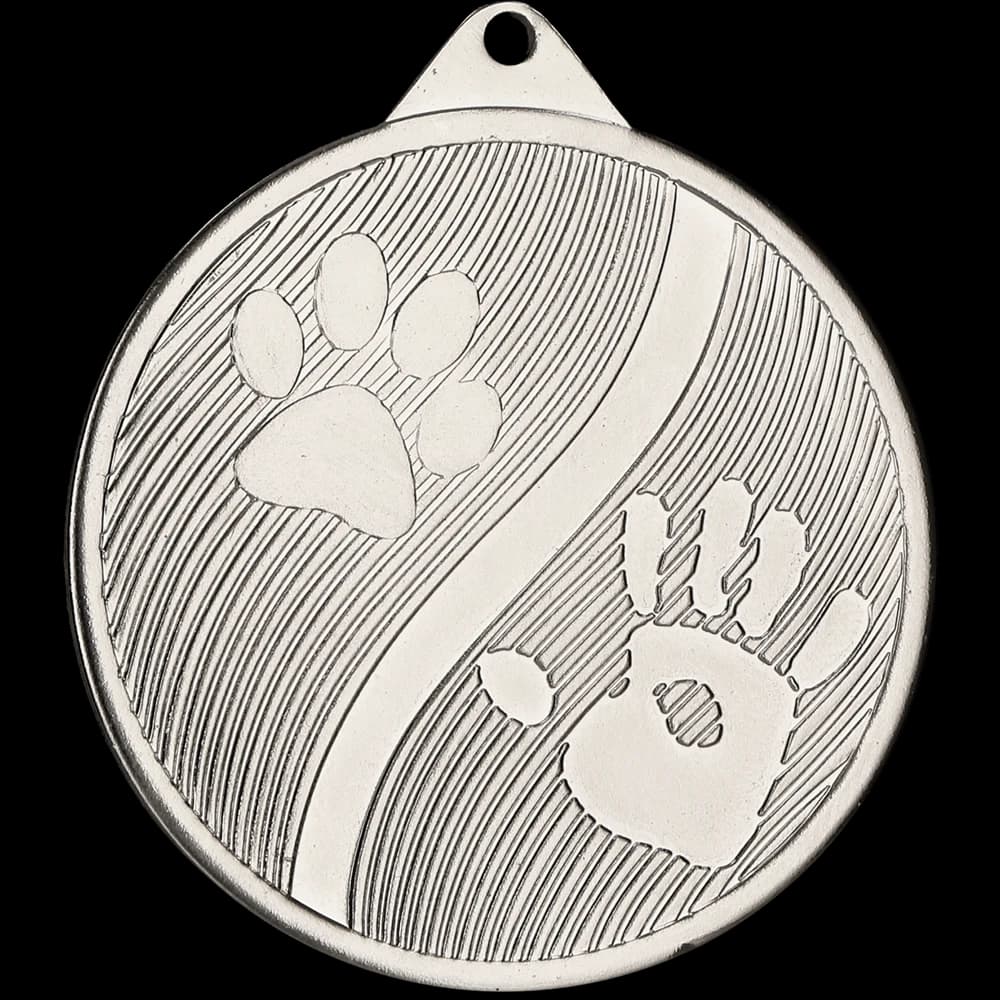 Steel medal, laser engraved - RMI