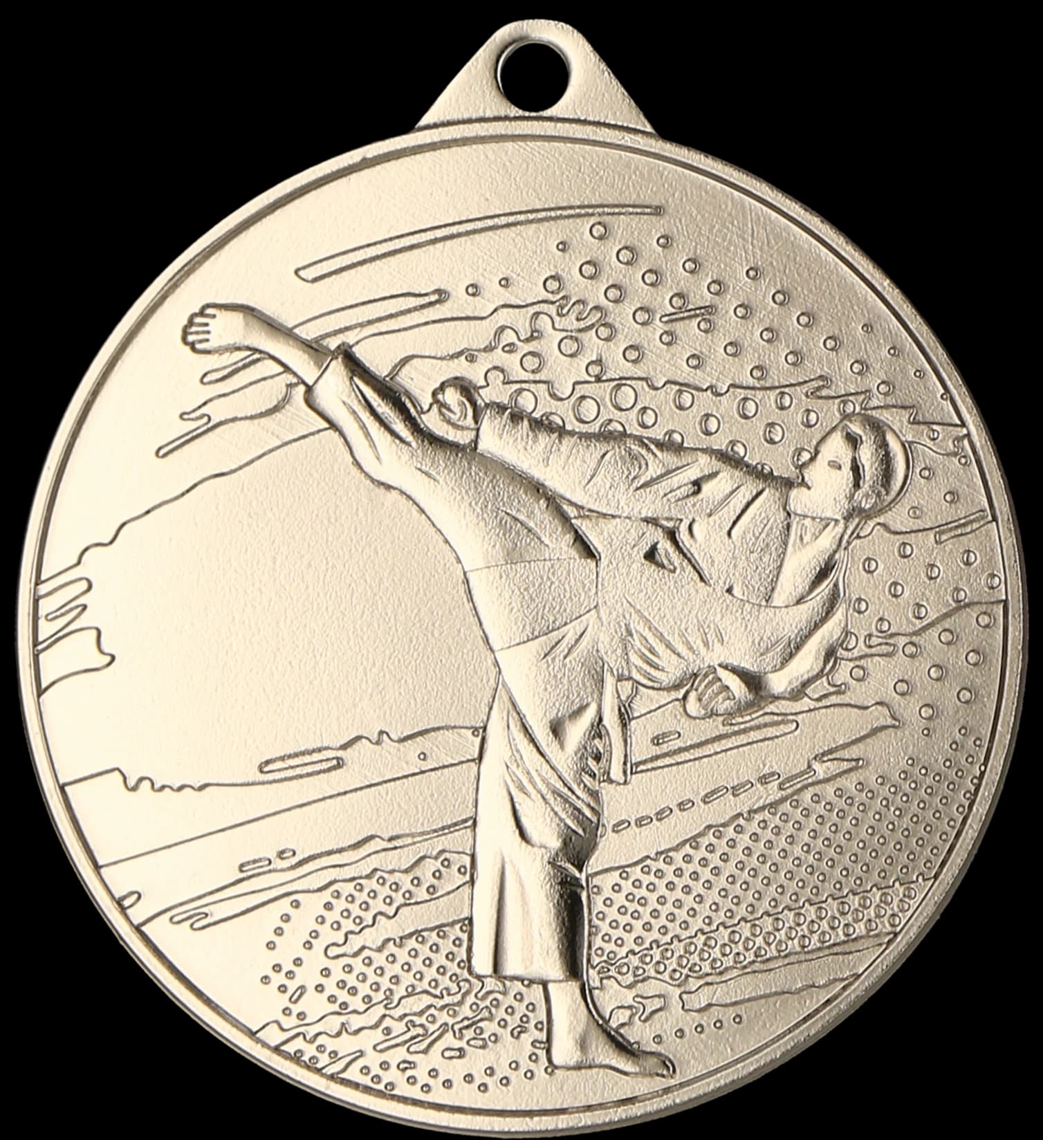 Silver medal - karate