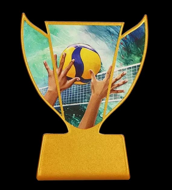 Metal trophy - Volleyball