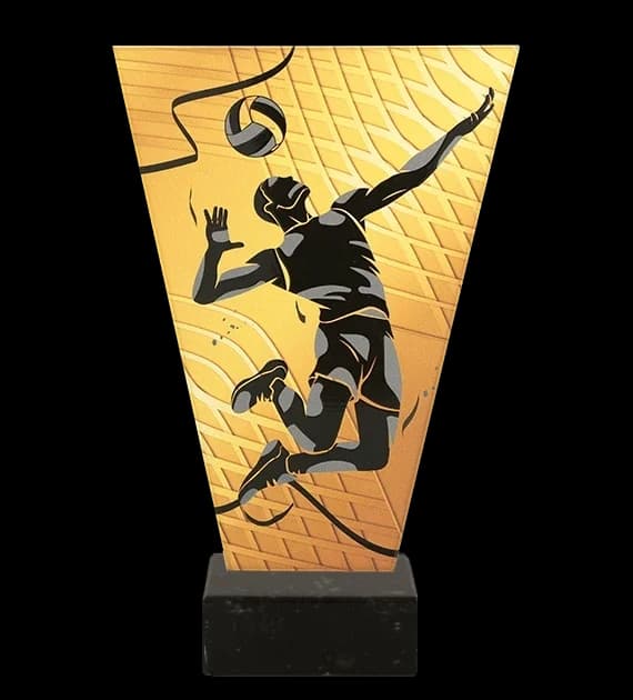 Monochrome glass trophy on marble base - VOLLEYBALL