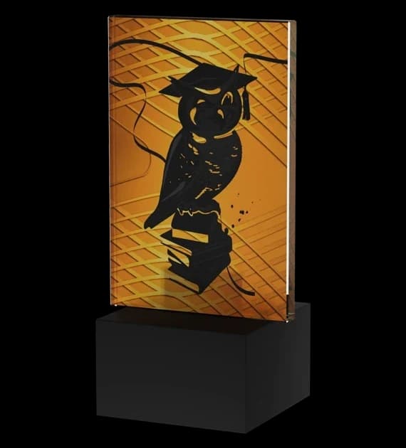 Mini-Line Amber trophy - EDUCATION