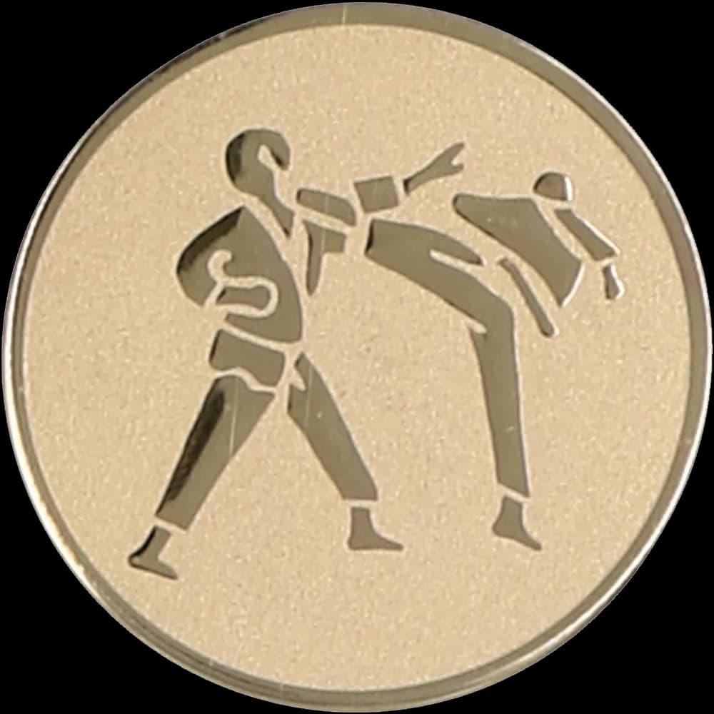Aluminijski umetak - karate