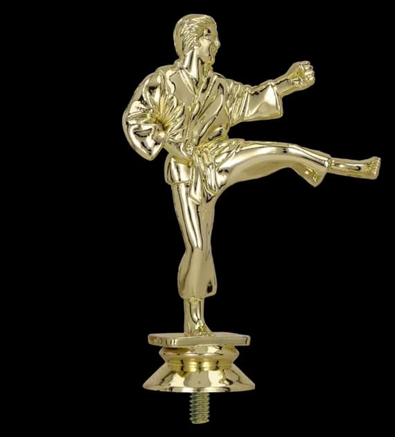 Plastic figurine - karate