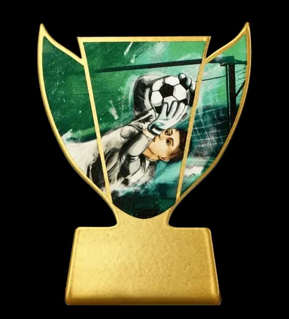 Metal trophy - Best goalkeeper