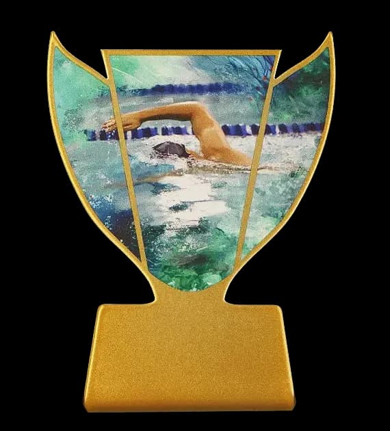 Metal trophy - Swimming